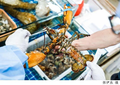 进口畜禽肉查验核酸检测合格证明 上海进口冷链食品经营疫情防控工作规范出炉